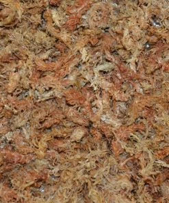 Thing Soil & Soil Amendments Sphagnum Peat Moss Organic Peat Moss Moisture Control 5 Thing Soil & Soil Amendments Sphagnum Peat Moss Organic Peat Moss Moisture Control -Cheap Landscaping Store 05109648