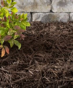 Thing Premium 2-cu ft Dark Brown Hardwood Mulch -Cheap Landscaping Store 05316692 scaled