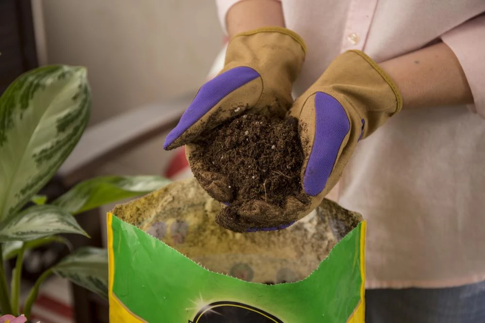 Miracle-Gro Soil & Soil Amendments All Purpose 25-Quart Potting Soil Mix 4 Miracle-Gro Soil & Soil Amendments All Purpose 25-Quart Potting Soil Mix - Image 4