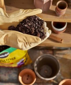 Miracle-Gro Soil & Soil Amendments 16-Quart Potting Soil Mix 9 Miracle-Gro Soil & Soil Amendments 16-Quart Potting Soil Mix -Cheap Landscaping Store 05413035