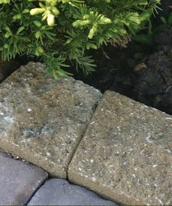 Thing Insignia 5-in L x 8-in W x 3-in H Concrete Straight Edging Stone -Cheap Landscaping Store 07921840