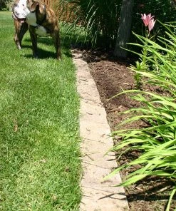 Thing Insignia 5-in L x 8-in W x 3-in H Concrete Straight Edging Stone -Cheap Landscaping Store 07921841