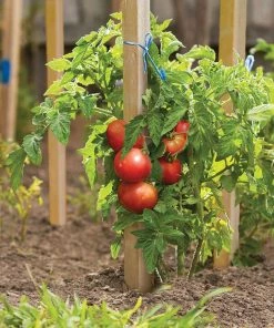 Thing Landscape Fabric & Stakes 12-Pack 12-in Wood Landscape Stake -Cheap Landscaping Store 08887966