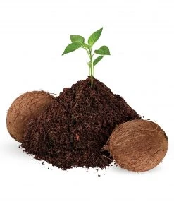 Cheap Landscaping Store -Cheap Landscaping Store 08909848