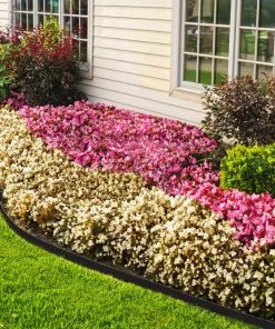 EasyFlex 40-ft Black Plastic Landscape Edging Roll -Cheap Landscaping Store 11270379