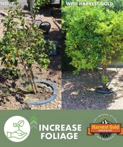 Harvest Gold Organics Soil & Soil Amendments Premium Soil Conditioner Organic Provides Organic Nutrients -Cheap Landscaping Store 12097051