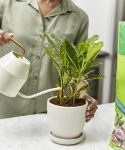 Miracle-Gro Soil & Soil Amendments Moisture Control Peat Moss Moisture Control -Cheap Landscaping Store 12190882