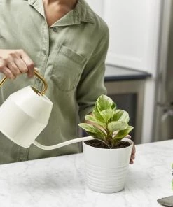 Miracle-Gro Soil & Soil Amendments Perlite Improves Soil Structure -Cheap Landscaping Store 12190891