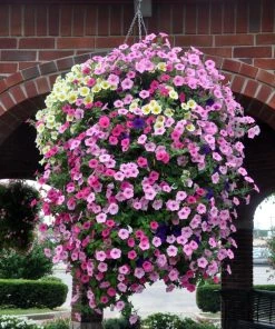 Soil Moist Soil & Soil Amendments Synthetic Polymer Moisture Control -Cheap Landscaping Store 15604160