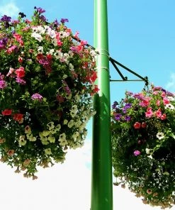 Soil Moist Soil & Soil Amendments Synthetic Polymer Moisture Control -Cheap Landscaping Store 15604161