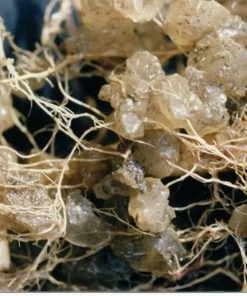 Soil Moist Soil & Soil Amendments Synthetic Polymer Moisture Control -Cheap Landscaping Store 15604162