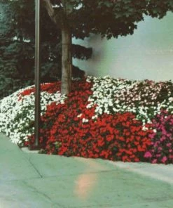 Soil Moist Soil & Soil Amendments Synthetic Polymer Moisture Control -Cheap Landscaping Store 15604164