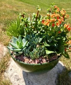 AKASHA Landscaping Rock 4-lb Indoor Decorative Rock -Cheap Landscaping Store 16989167