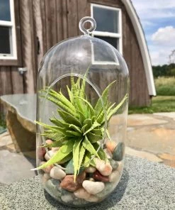 AKASHA Landscaping Rock 5-lb Indoor Decorative Rock -Cheap Landscaping Store 17076905