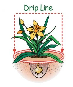 Espoma Soil & Soil Amendments Garden Organic Lime Ph Balancer -Cheap Landscaping Store 42677962