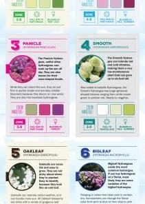 Espoma Soil & Soil Amendments Soil Acidifier Organic Ph Balancer -Cheap Landscaping Store 43201441