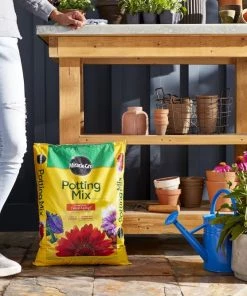 Miracle-Gro Soil & Soil Amendments Potting Mix Bundle 16-Quart Potting Soil Mix -Cheap Landscaping Store 44004120