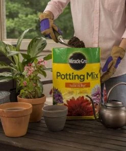 Miracle-Gro Soil & Soil Amendments Potting Mix Bundle 8-Quart Potting Soil Mix -Cheap Landscaping Store 44004193
