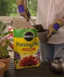 Miracle-Gro Soil & Soil Amendments Potting Mix Bundle 8-Quart Potting Soil Mix -Cheap Landscaping Store 44004196