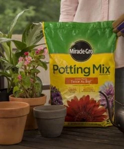 Miracle-Gro Soil & Soil Amendments Potting Mix Bundle 8-Quart Potting Soil Mix -Cheap Landscaping Store 44004204