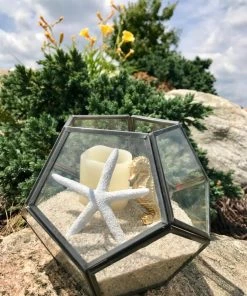 AKASHA Landscaping Rock 4 lb Beach Sand 5 AKASHA Landscaping Rock 4 lb Beach Sand -Cheap Landscaping Store 44227704