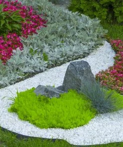 Beach Pebble Company Landscaping Rock Decorative stone chip 30-lb White Decorative Rock -Cheap Landscaping Store 44319150