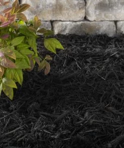 Thing Premium 2-cu ft Black Hardwood Mulch -Cheap Landscaping Store 44347261