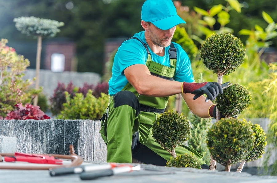 Cheap Landscaping Store -Cheap Landscaping Store 4